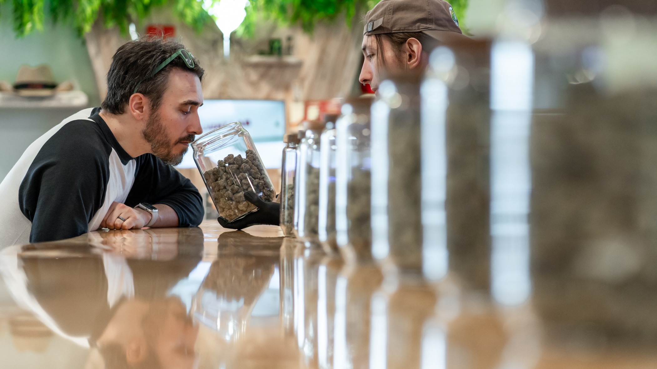 Seaside Cannabis Company Dispensary Menu, Reviews & Photos