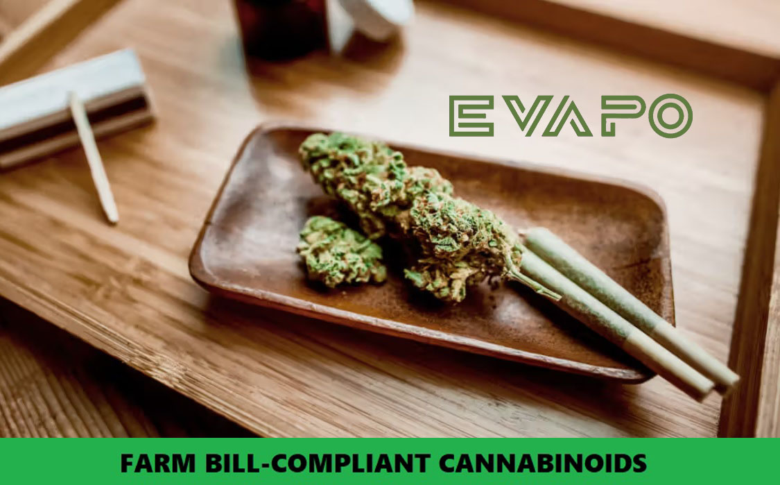 evapo vape shop near me Vape supplies hi-res stock photography and images