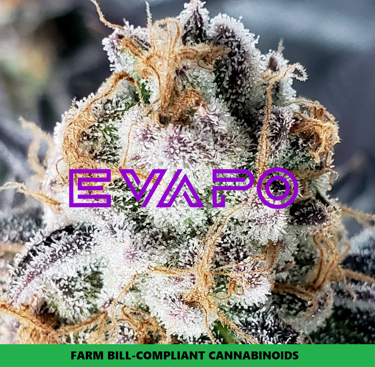 EVAPO CBD Smoke Vape Stone Oak | Dispensary Menu, Reviews & Photos