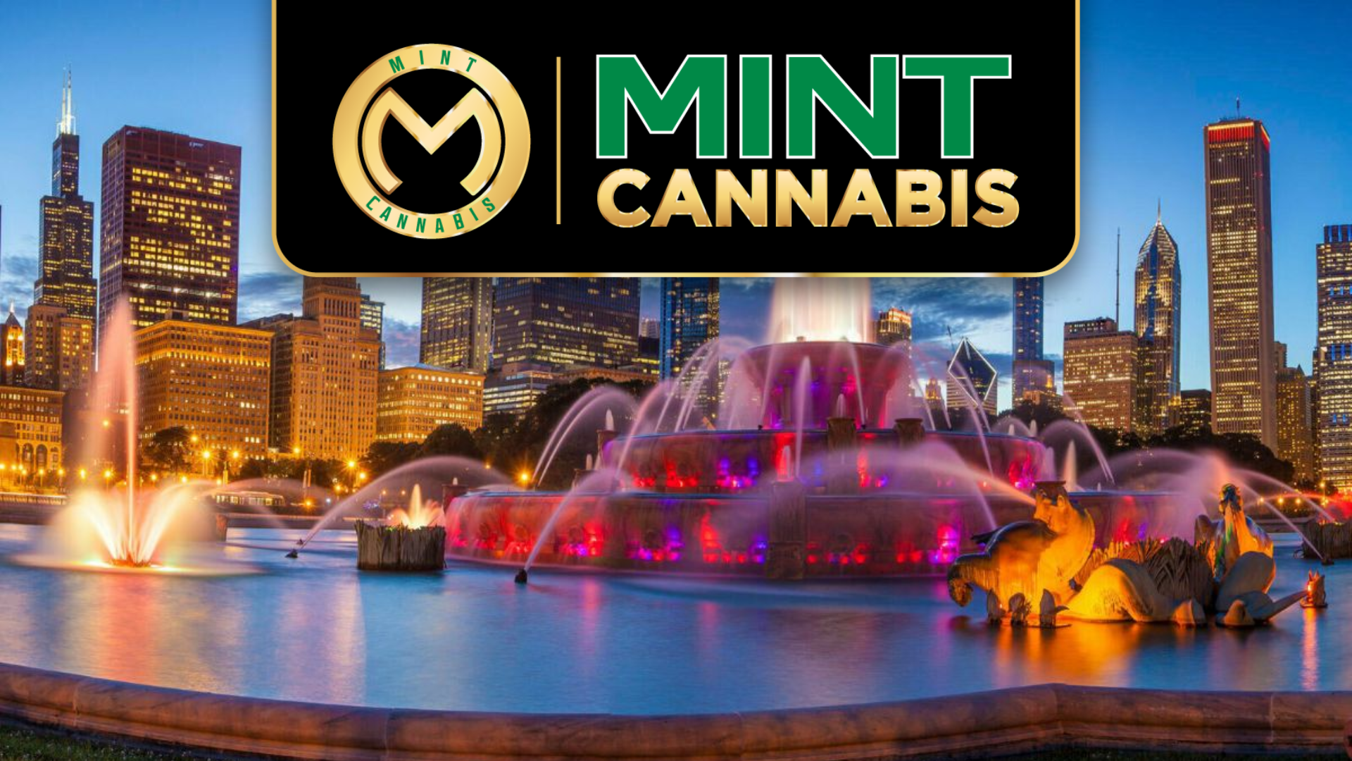 The Mint Cannabis - Willowbrook