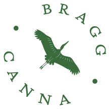 Bragg Canna of Mississippi - High Street — Dispensaries in Jackson, MS
