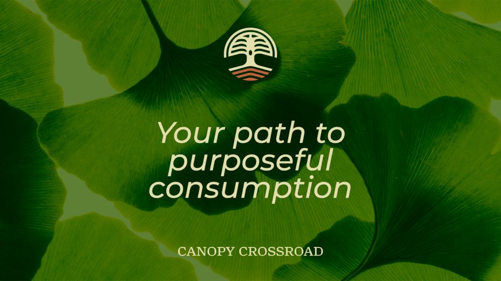 Canopy Crossroad