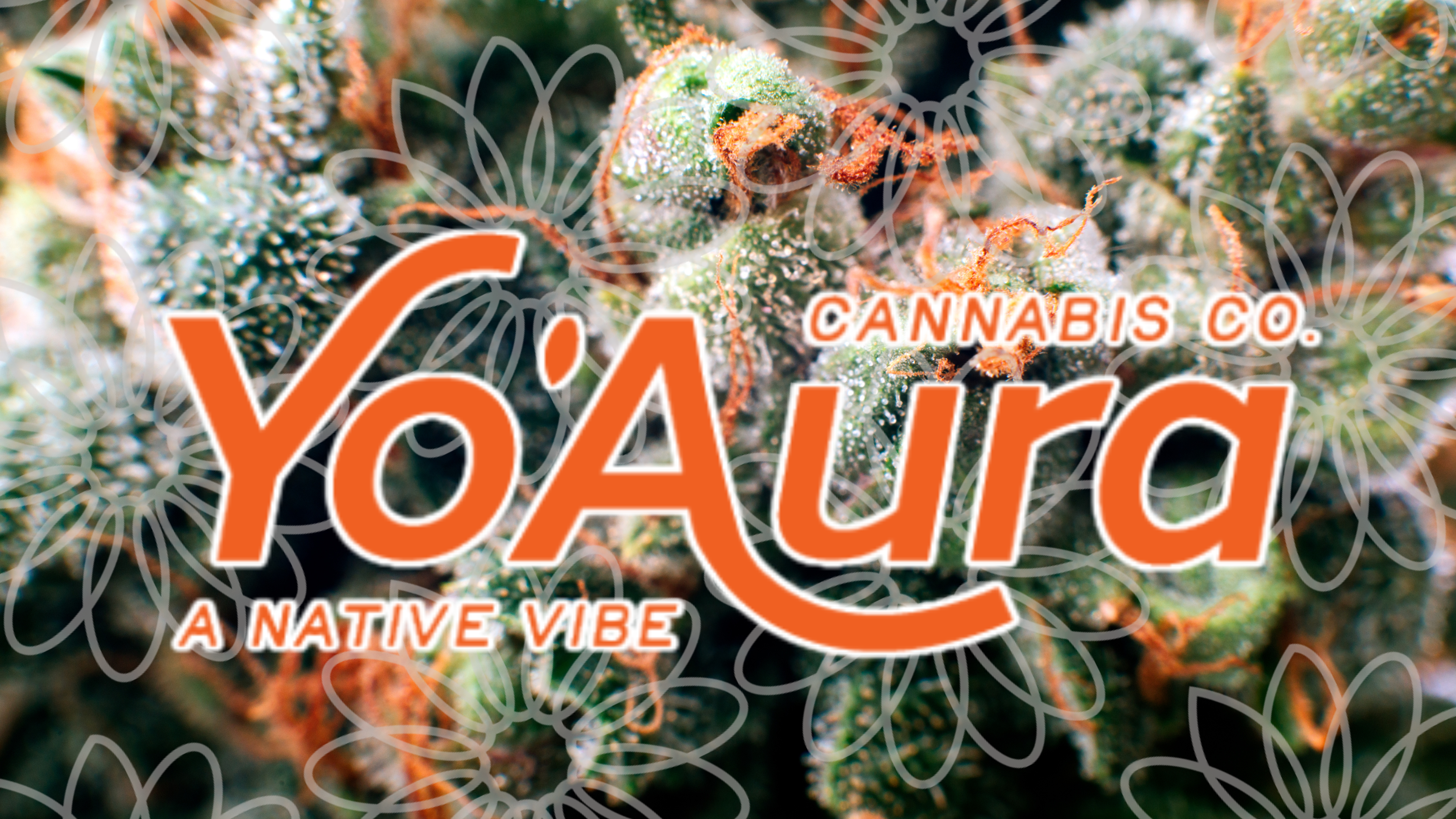 Yo'Aura