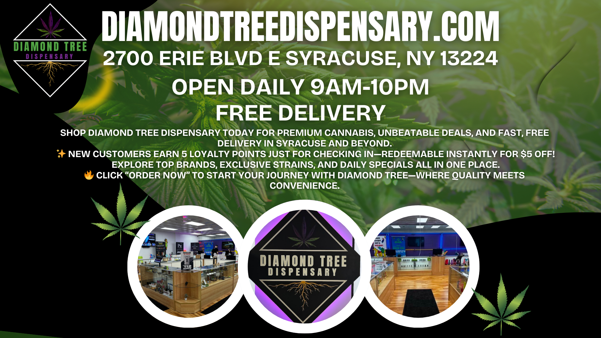 Diamond Tree Dispensary
