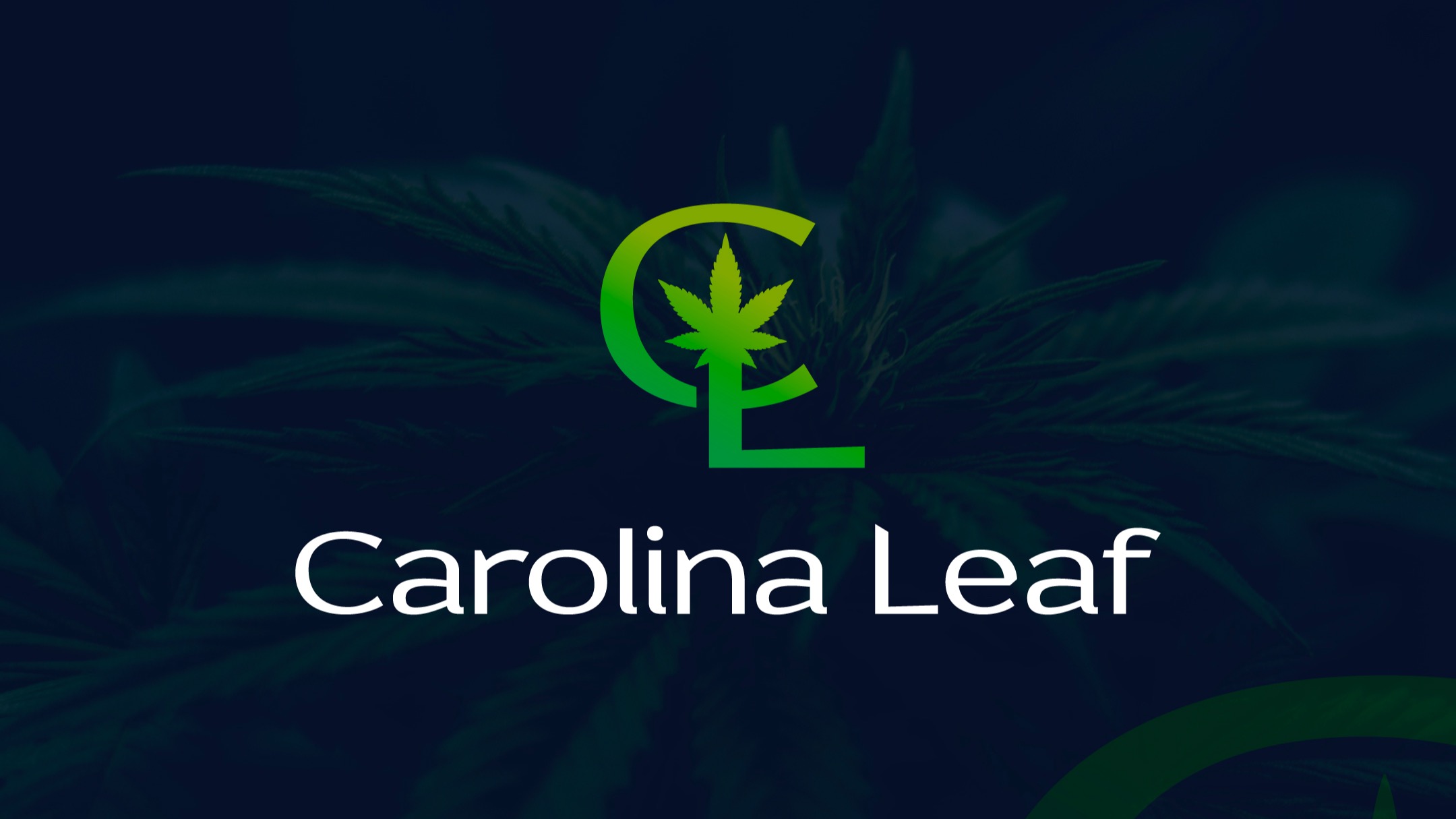 Carolina Leaf