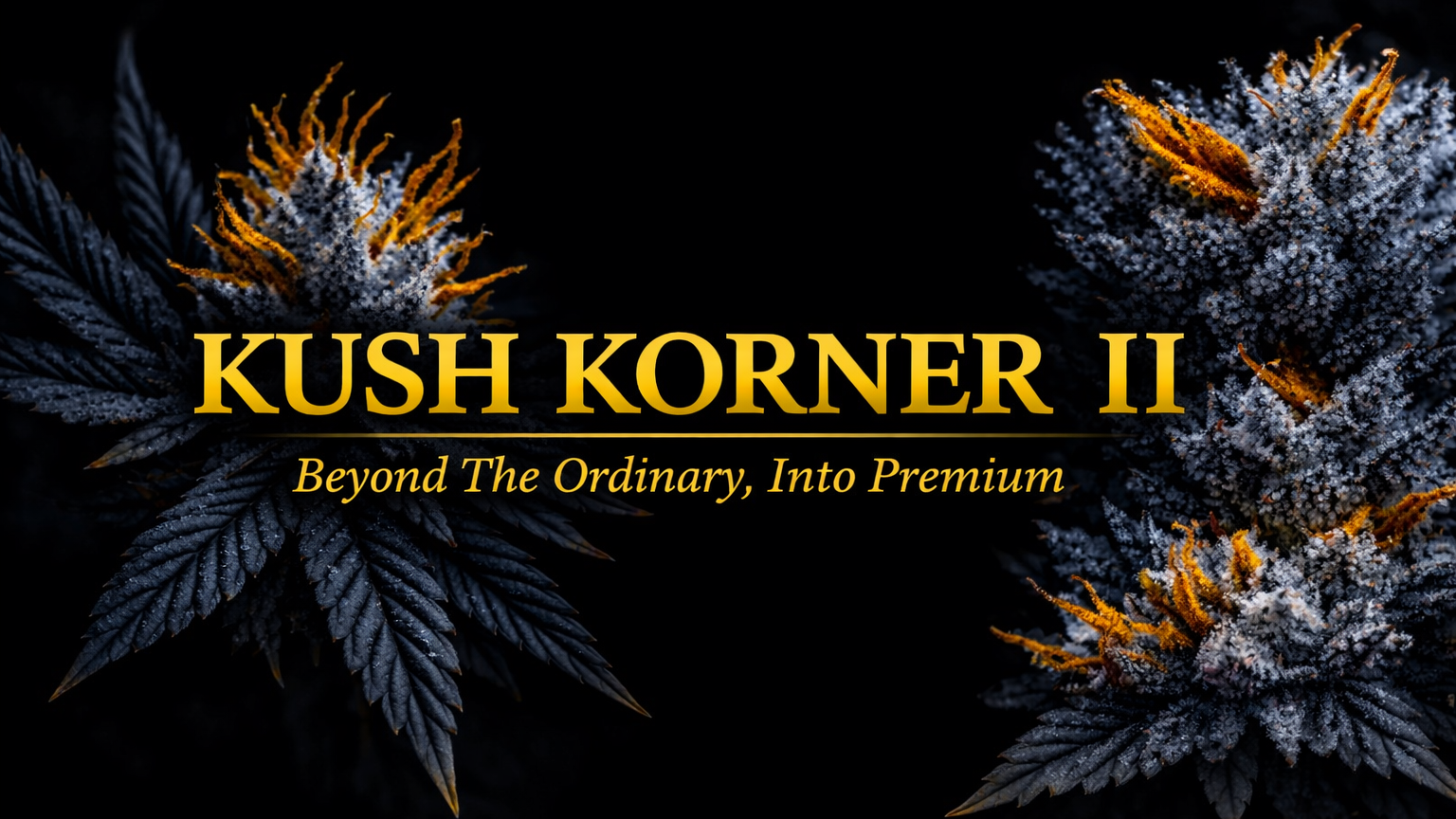 Kush Korner II