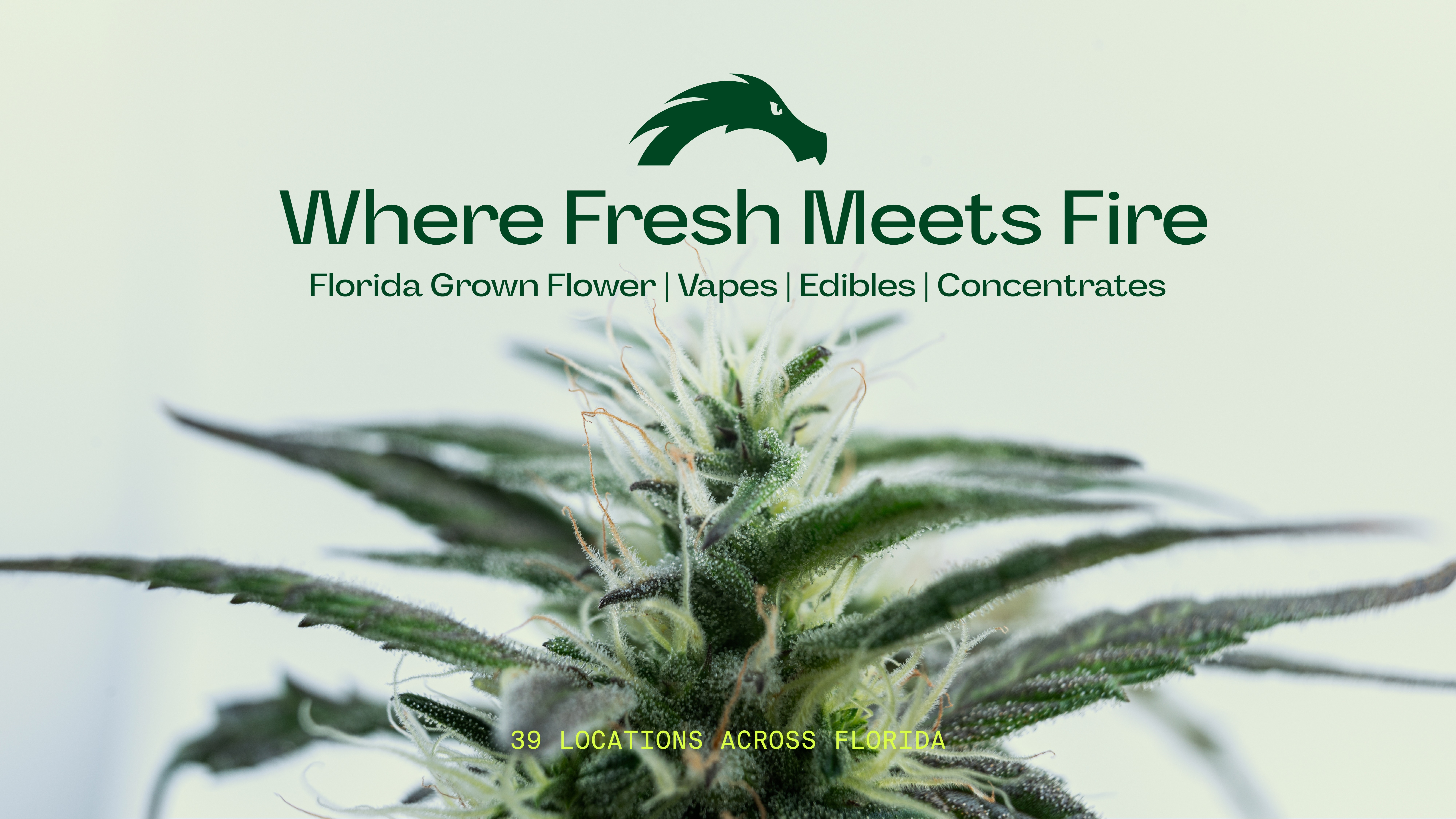 Green Dragon - Fort Pierce