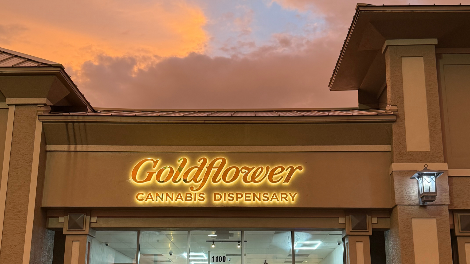 Goldflower - Bonita Springs