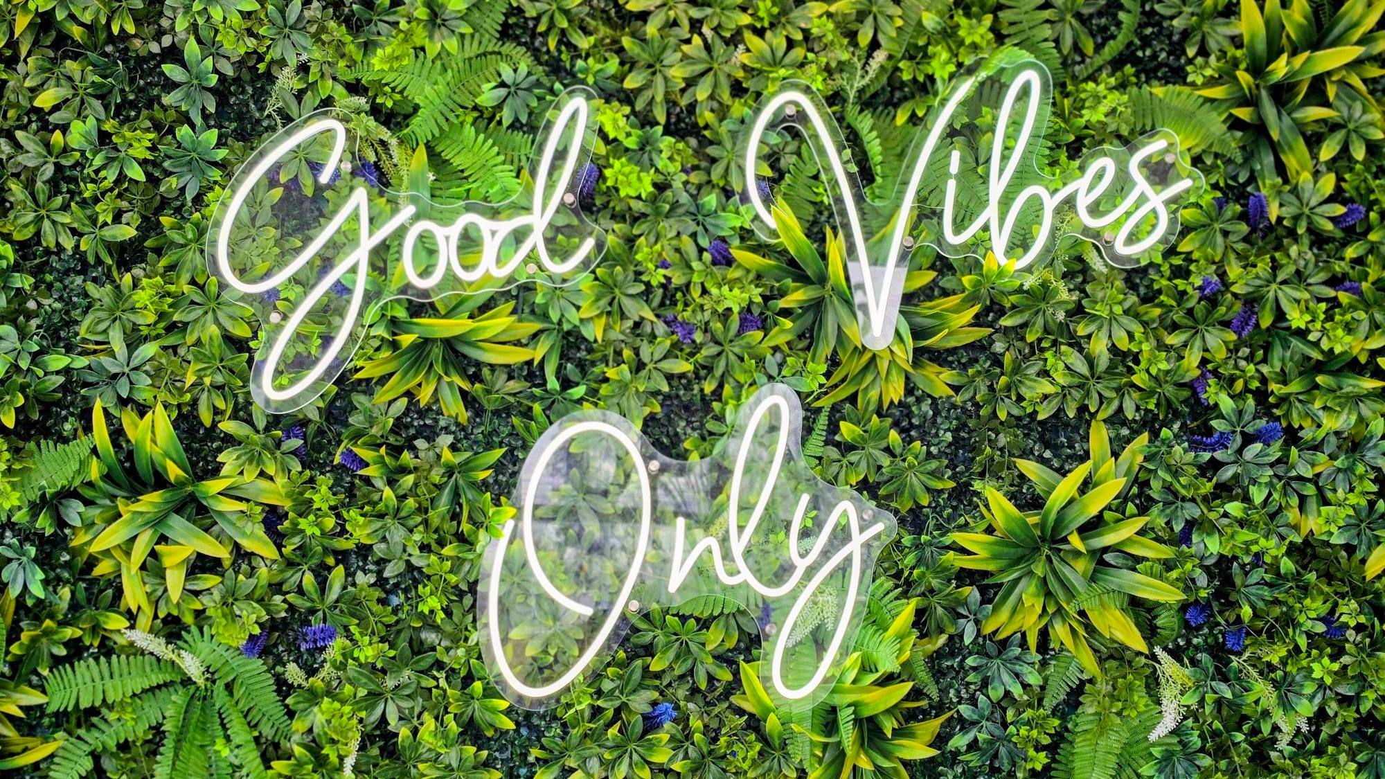 KOAN Cannabis