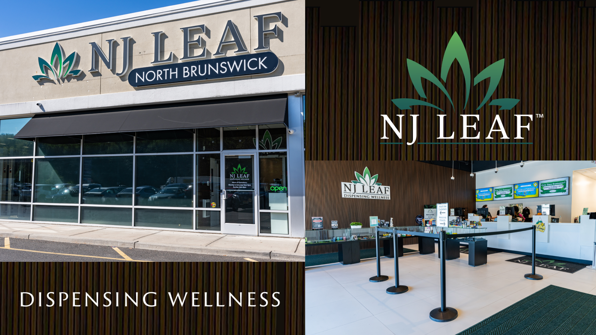 NJ Leaf - Brunswick