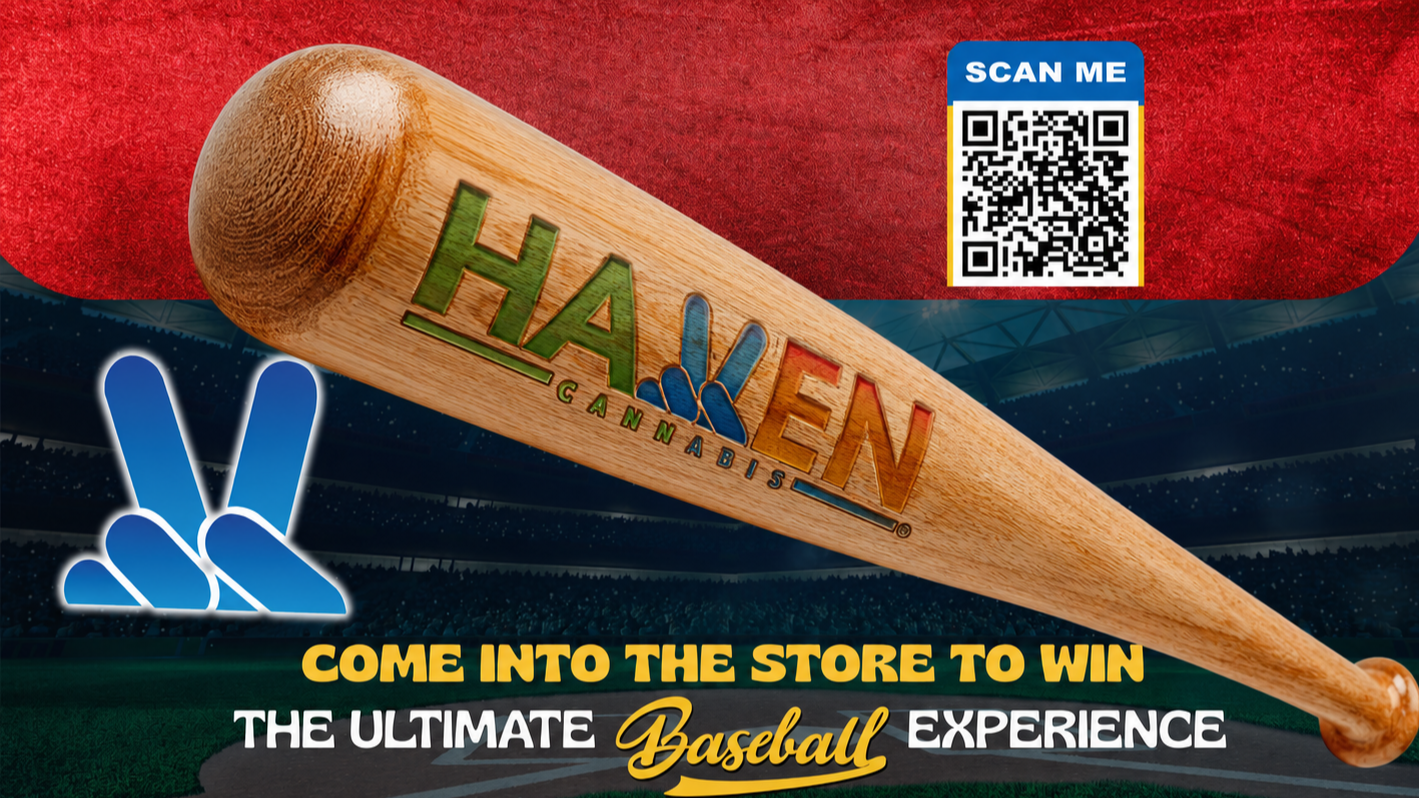 The Haven Center - Brewster