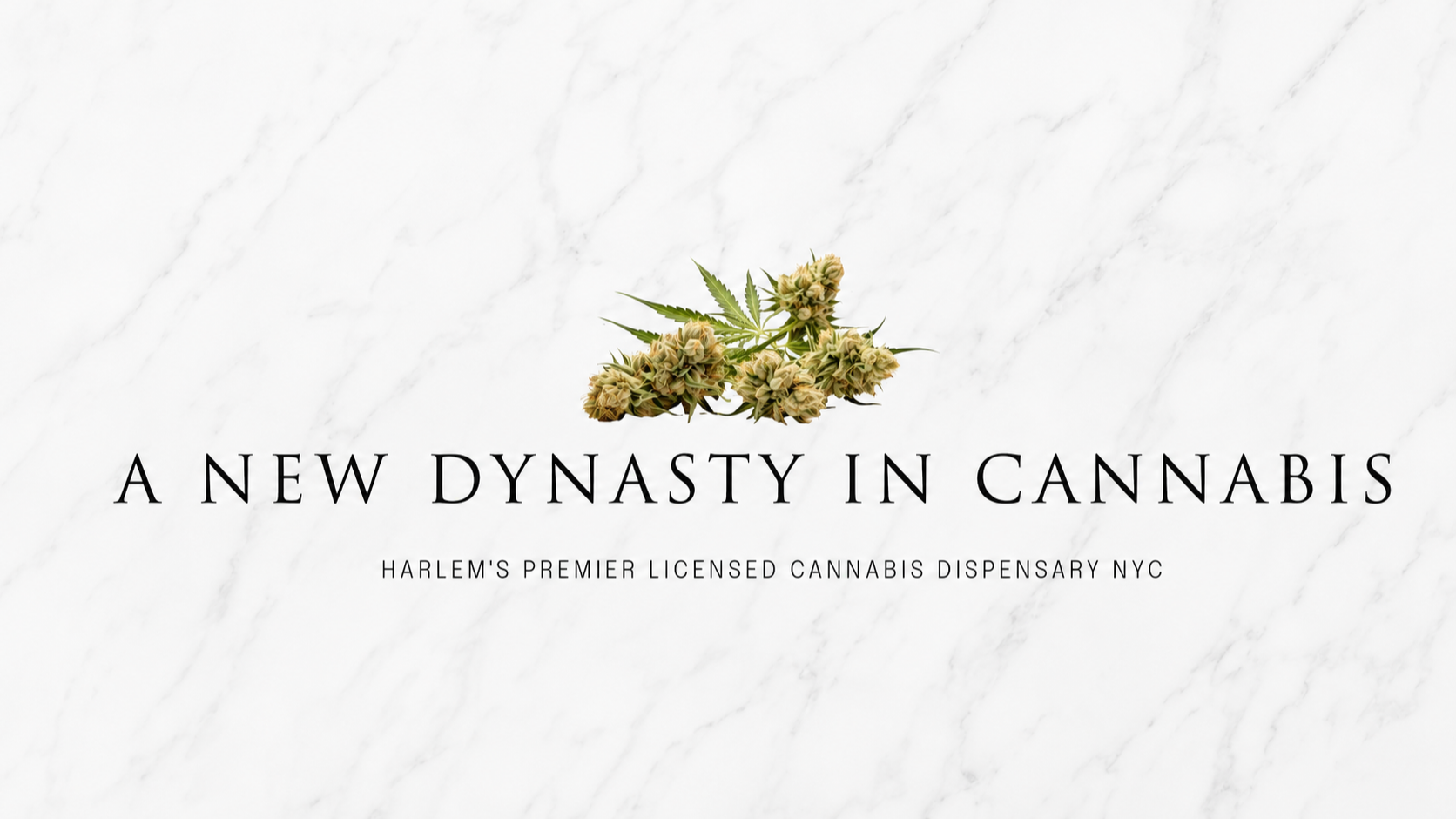 Dynasty Commodities
