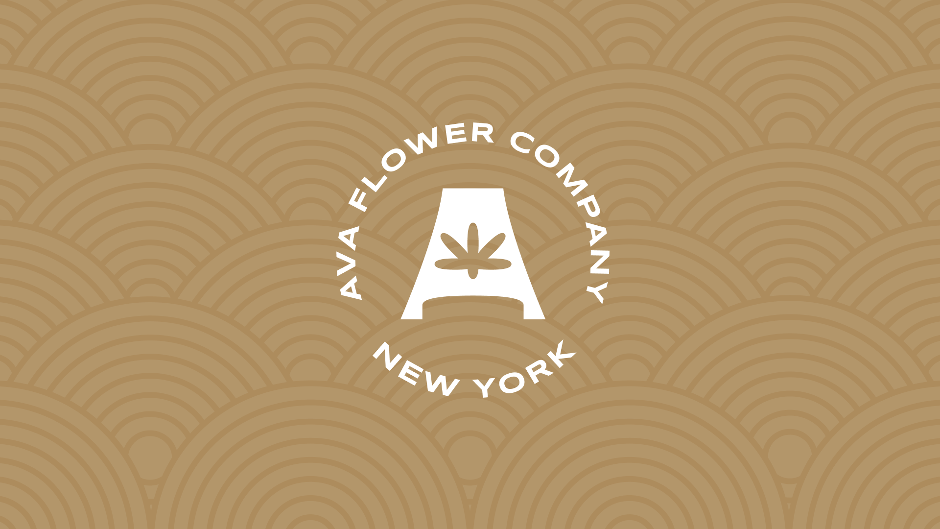 Ava Flower Co.