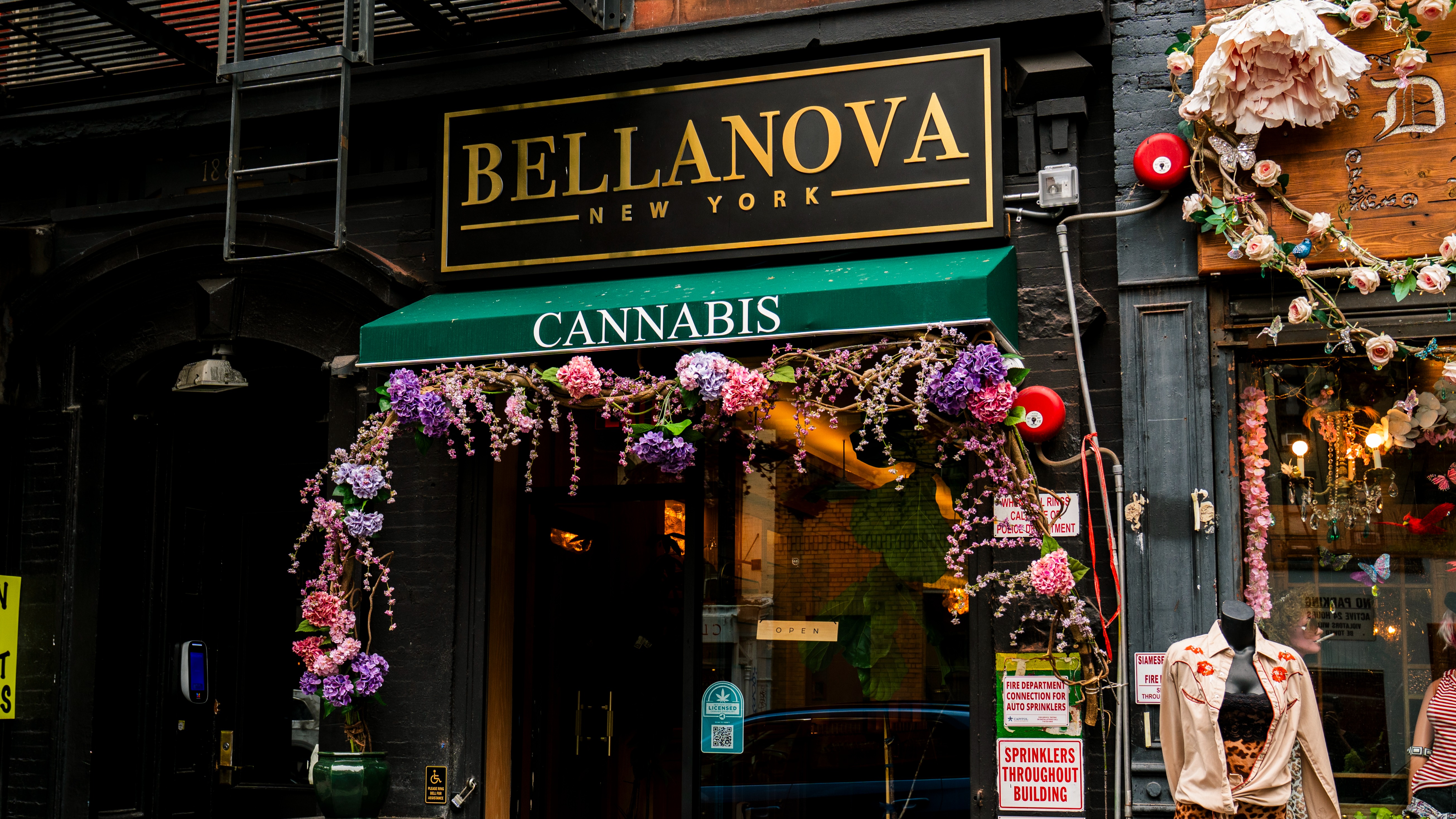 Bellanova NY