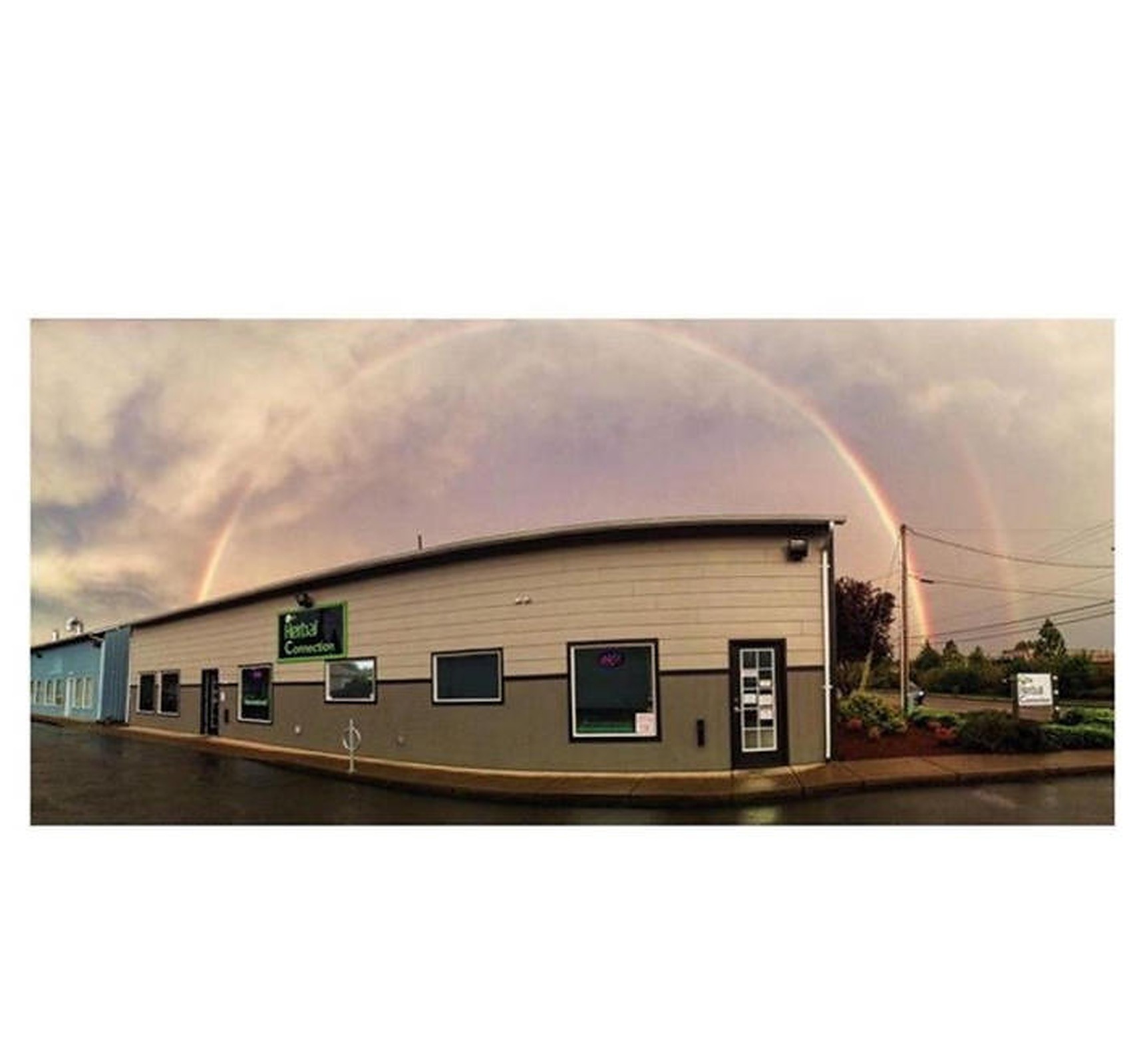 The Herbal Connection Eugene, OR Dispensary Leafly