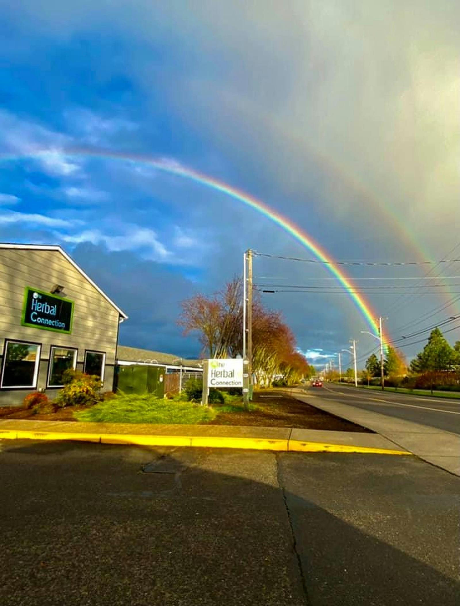 The Herbal Connection Eugene, OR Dispensary Leafly