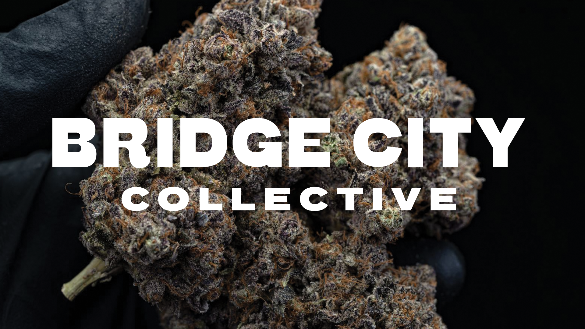 Bridge City Collective - North Portland