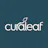Curaleaf - Auburn logo