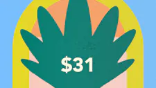 $31 Infused Pack 15g – MKX Oil Company image