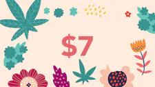 $7 Infused Packs 2.5g, 3.5g – Muha Meds, Zooted B… image