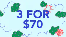 3/$70 Wax 5g – Grimas, Terp Heads, Kai Ju image