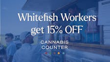 Whitefish Workers image