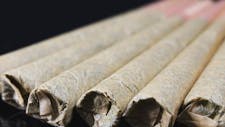 Strain Series PreRolls: 4 for $20 OTD @ NuVue!! image