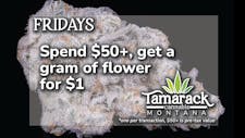 Spend $50, Enjoy a Gram for $1 image