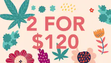 2/$120 Rosin Disposable 1g – Olio, Jetty, 710 Labs image