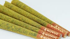 Large Infused PreRoll + Bic Lighter $14 @ NuVue!!! image
