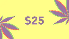 $25 Disposable 2g – Breez image