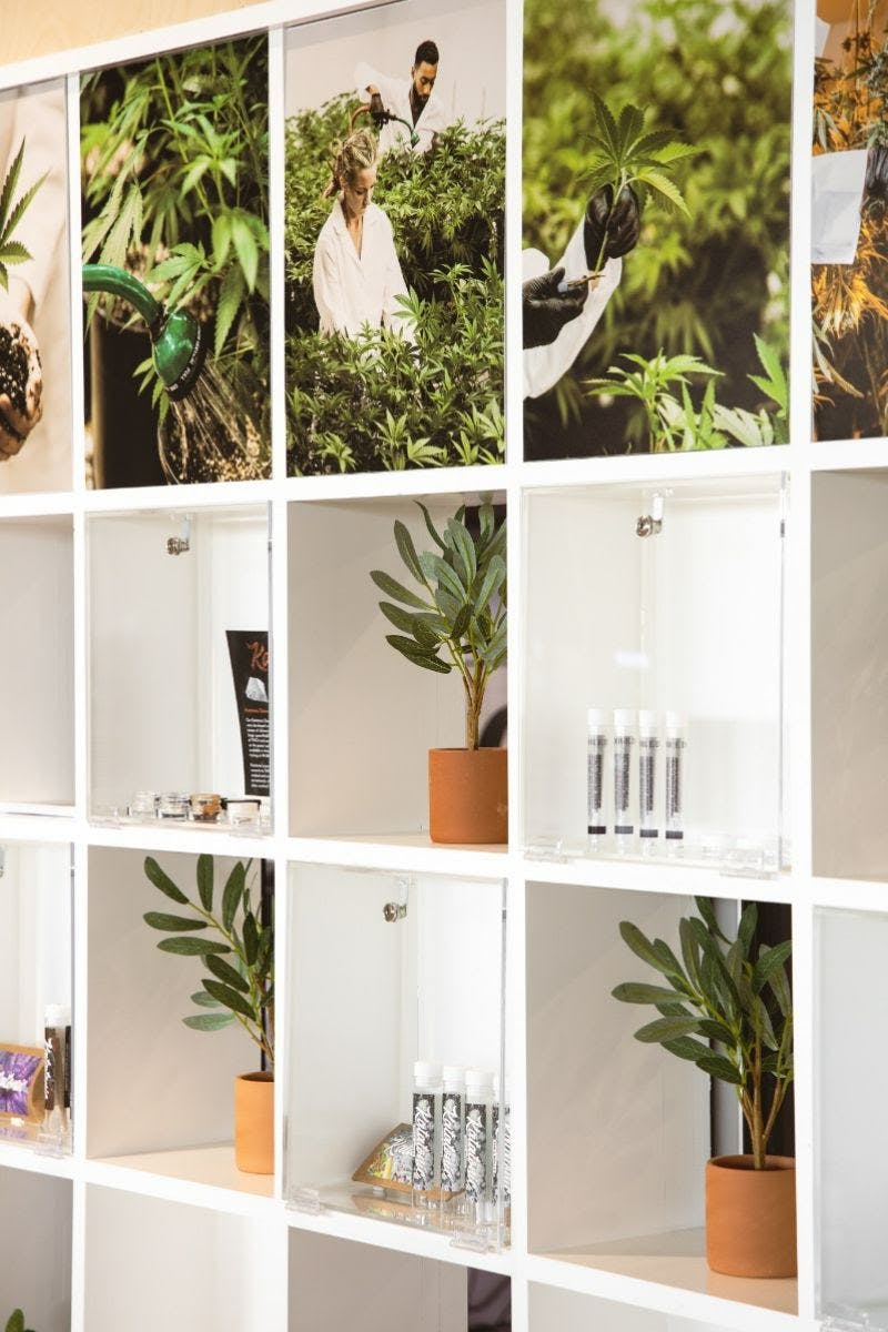 Giving Tree Dispensary (Med/Rec) Phoenix, AZ Dispensary Leafly