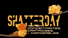 Shatterday image