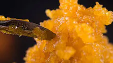 Dab Day Thursday image