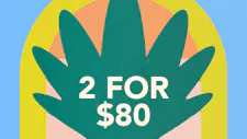 2/$80 Rosin 1g – 710 Labs, Freshy Fine image
