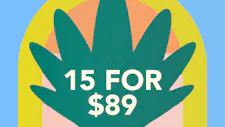 15/$89 Cartridges 1g – Mr. Vapor Soar, Muha Meds image