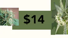 $14 Rosin 1g – The Limit image