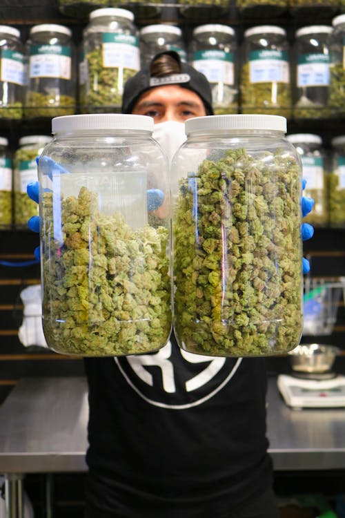 JARS Cannabis - Metro Center (Med/Rec) | Dispensary Menu, Reviews & Photos