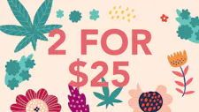 2/$25 Chocolates – Detroit Edibles Bar, Kiva Terr… image