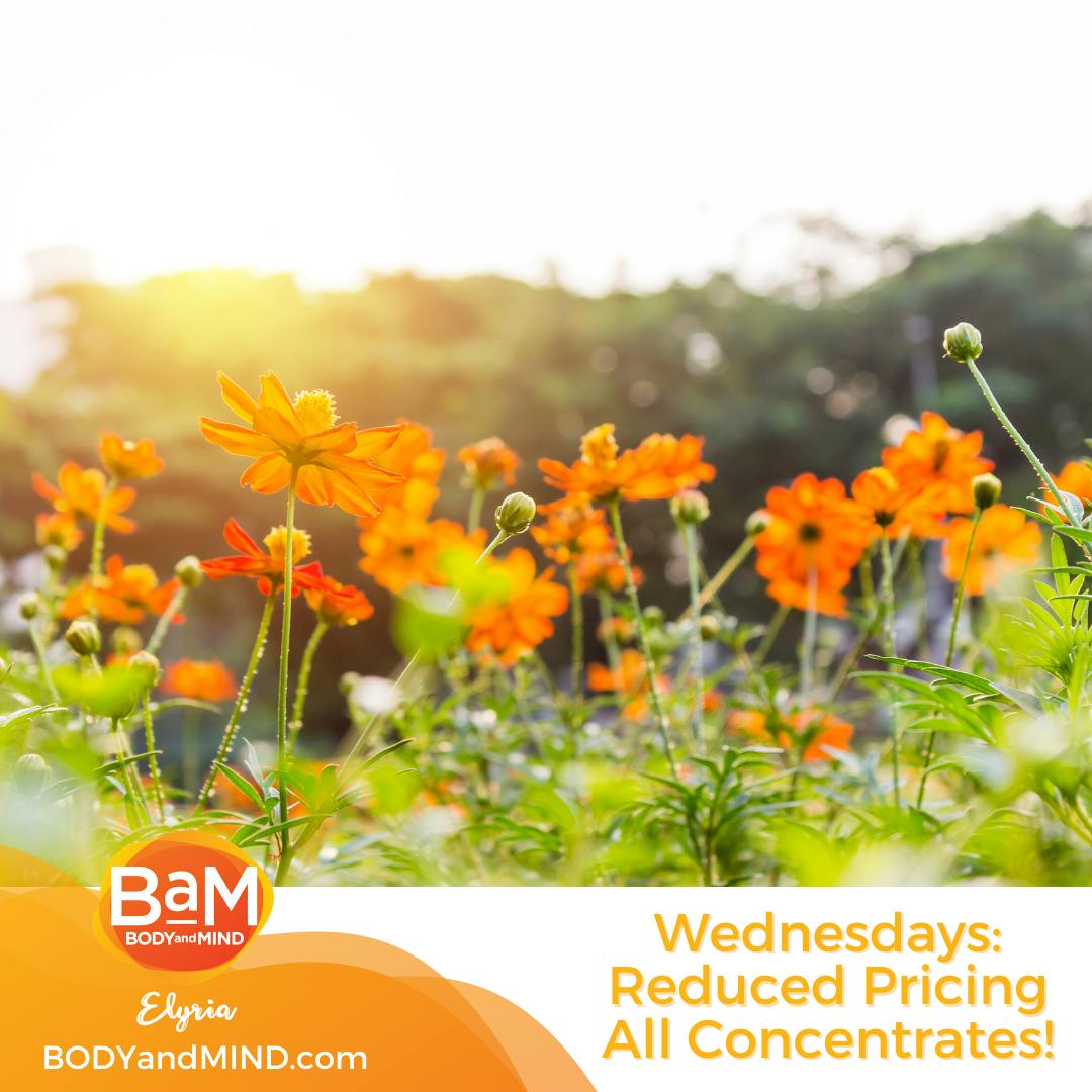 BaM Body and Mind Dispensary Cleveland Elyria, OH Dispensary Leafly