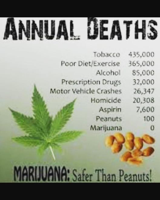 Wagon Hill Medical Warehouse Pocola, OK Dispensary Leafly