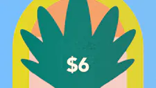 $6 Singles 1g – Bonsai, Natty Rems, Toke, High… image