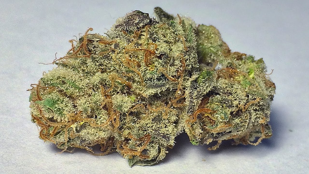 Herbs4You Denver, CO Dispensary Leafly