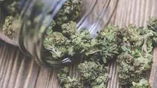 Flower Friday - 20% Off Top & Mid Shelf Flower image