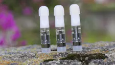 10% OFF ALL CARTRIDGES!! SELECT 1/8TH SPECIALS!! image