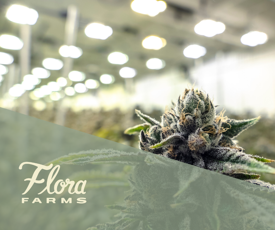 Flora Farms Springfield Springfield, MO Dispensary Leafly