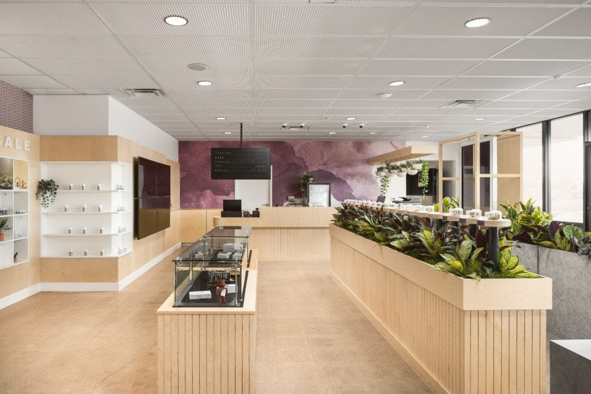 Giving Tree Dispensary (Med/Rec) Phoenix, AZ Dispensary Leafly