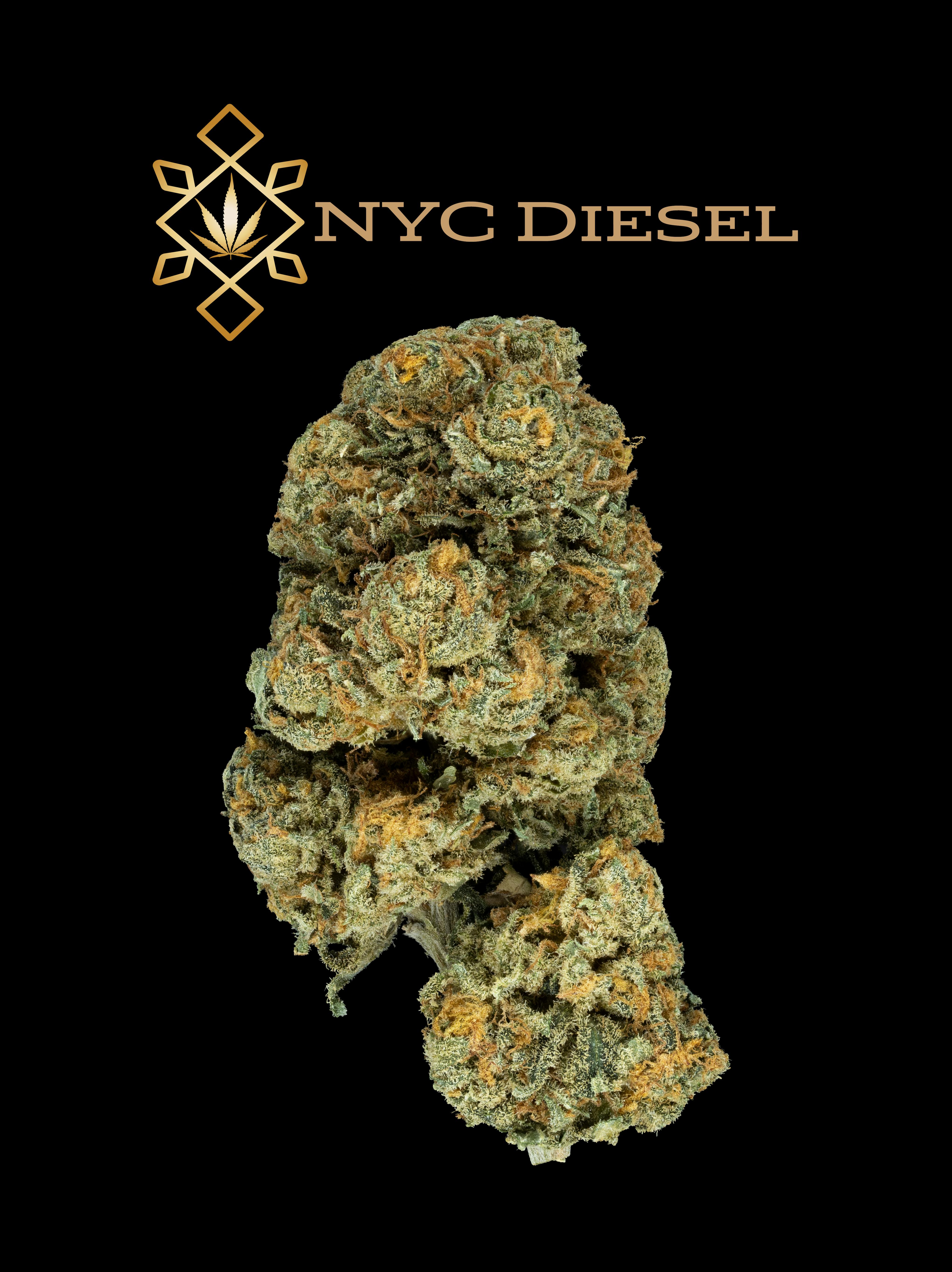 Dancing Turtle Greenery Salamanca, NY Dispensary Leafly