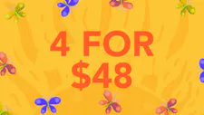 4-for-$48 Bits 100mg Gummies image