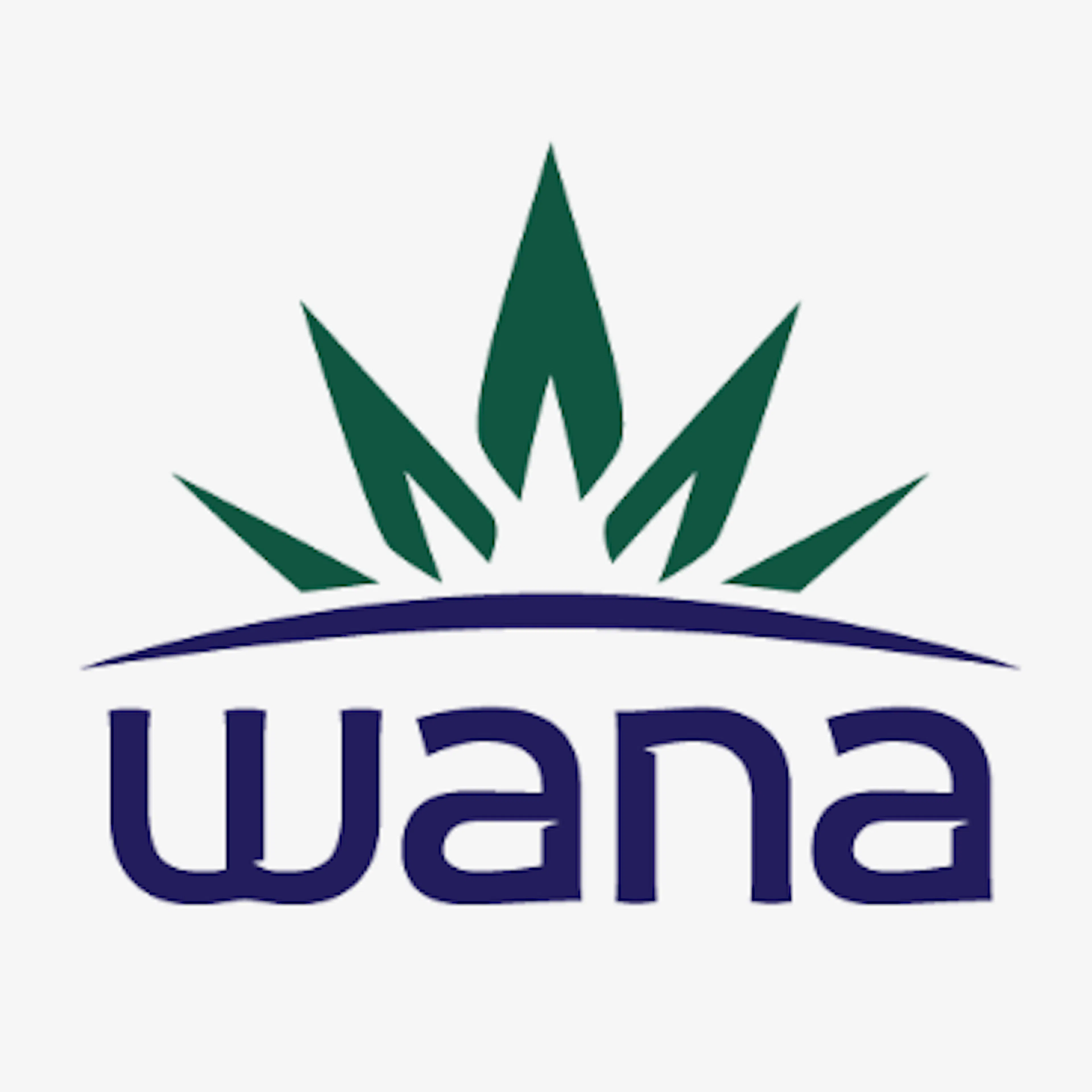 Wana Hemp logo